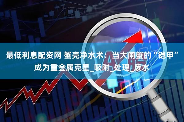 最低利息配资网 蟹壳净水术：当大闸蟹的“铠甲”成为重金属克星_吸附_处理_废水